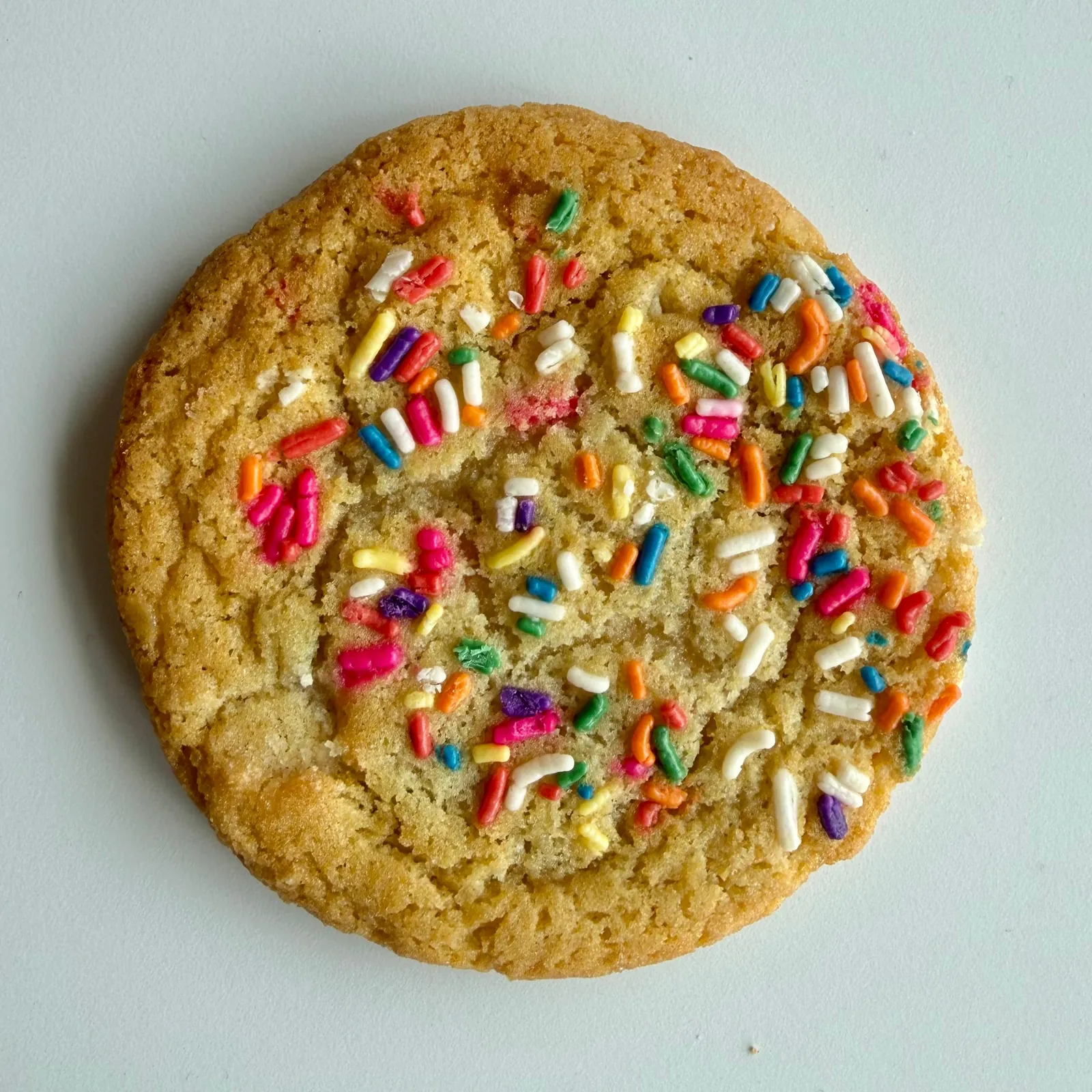 A freshly baked cookie with colorful sprinkles
