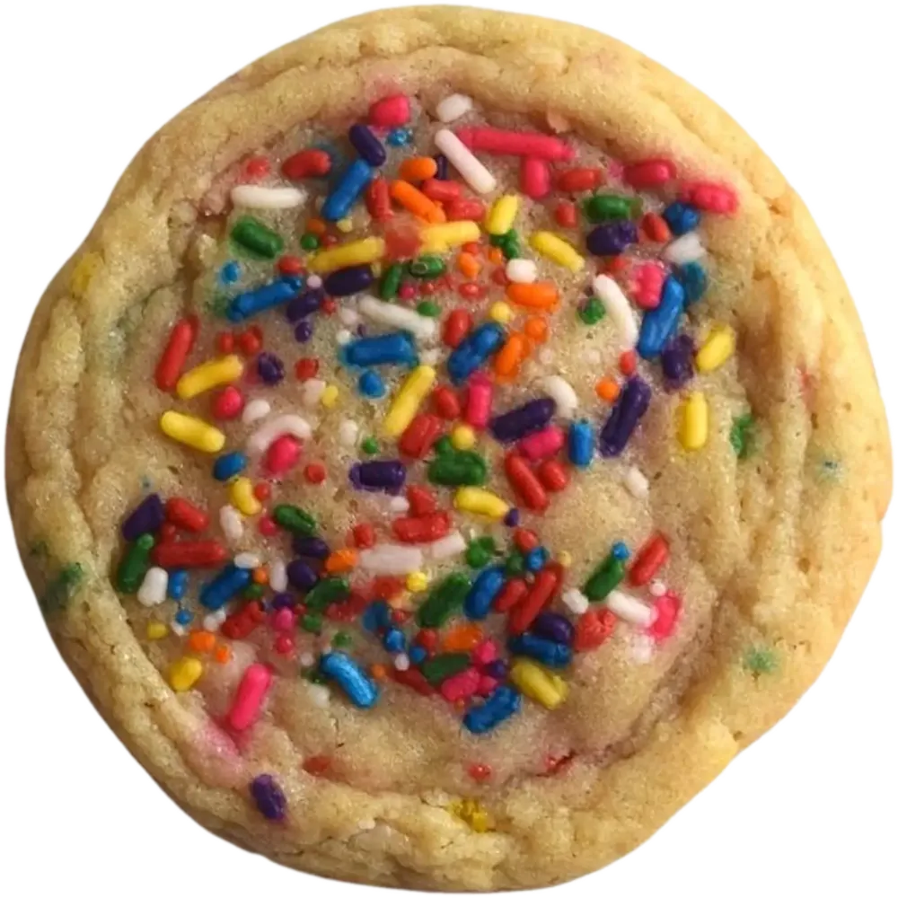 A birthday cake cookie with rainbow sprinkles
